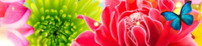 ♡KILIN♡'s header image
