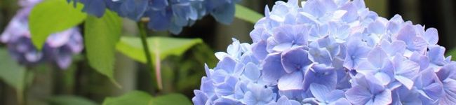 mmss_deli's header image