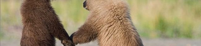 maron97's header image
