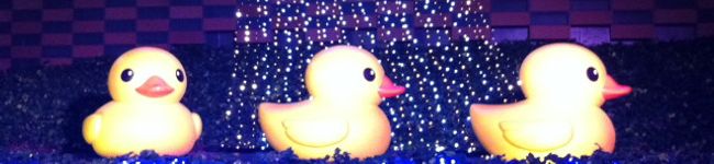 クック0AP7AM☆'s header image