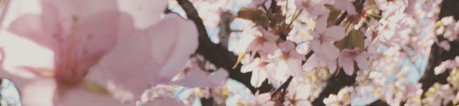 ☃️'s header image
