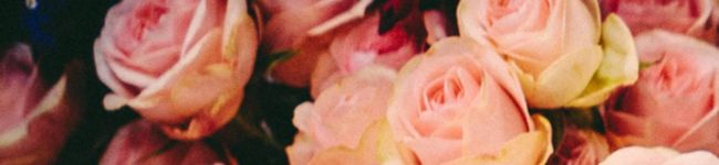 shiha♥︎'s header image