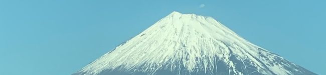 ラヴィのシッポ's header image