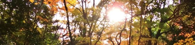 おふぅ☆'s header image