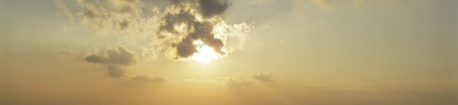 ６月うさぎ's header image