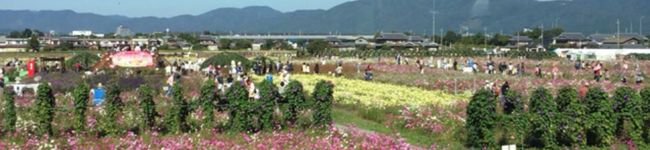 mammy128's header image
