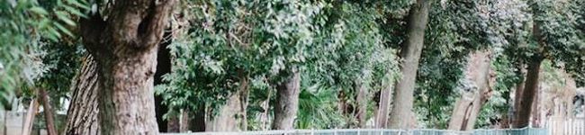 shigatsu's header image