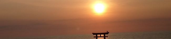 轟夢子's header image
