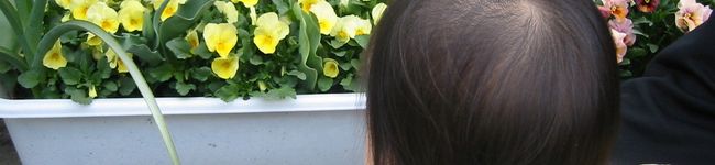naonao0616's header image