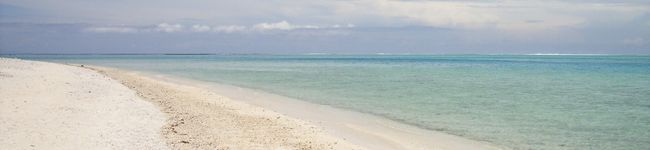 mogumokura's header image