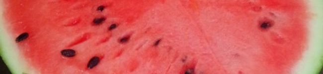 ぼんちゅう食堂's header image