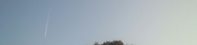 BiBiCOO's header image