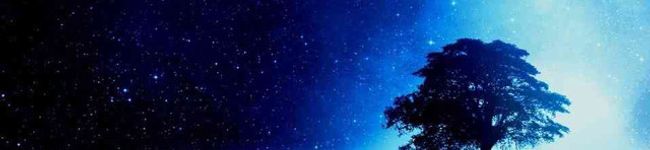 Yukikodao's header image