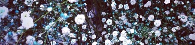 ふっくっく's header image