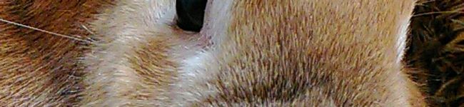 クック92TGDK☆'s header image