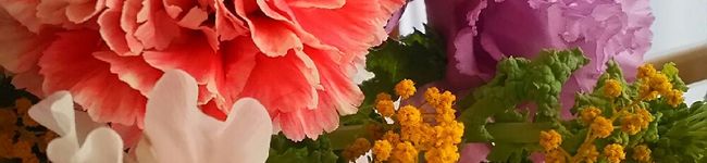 rimorimo's header image