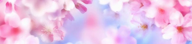 Ema☆'s header image