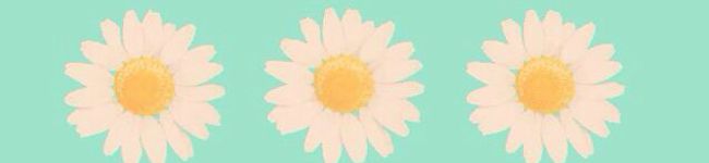 aoisonoda's header image