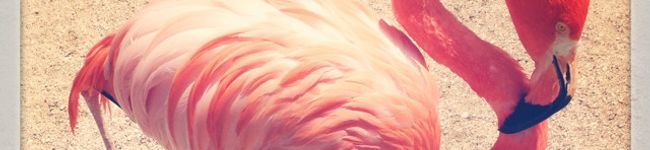 いーmam's header image