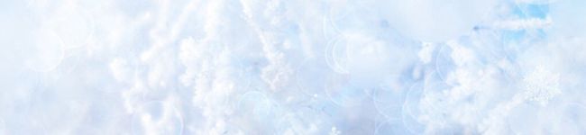 紫音、's header image