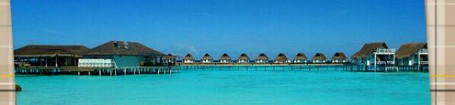 mrk310's header image