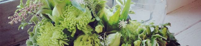 coico☆'s header image