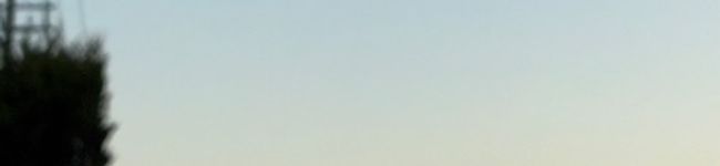 もやし（？）'s header image