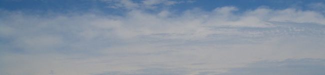 にんにくラブ's header image