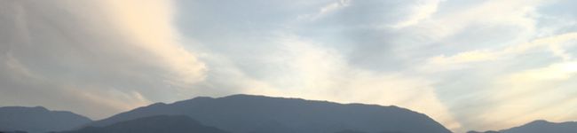 nefertiti2's header image