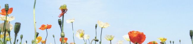 kzmykzmy's header image