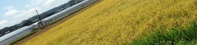 クック6QAL05☆'s header image