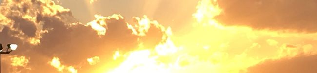 マロン柴♡'s header image