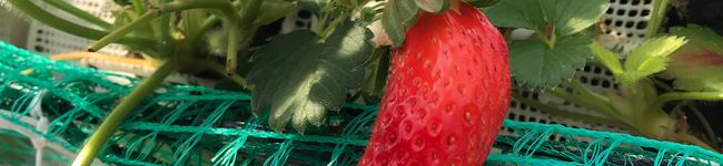 akemix8989's header image