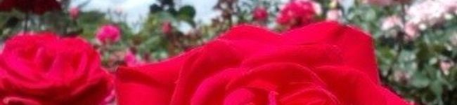 春南灯's header image