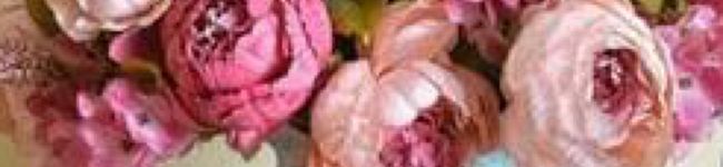 PinaPig♡'s header image
