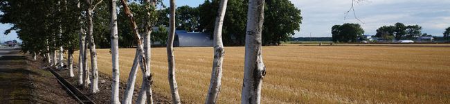Charom's header image
