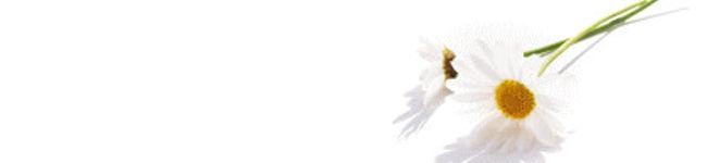 浅月+'s header image