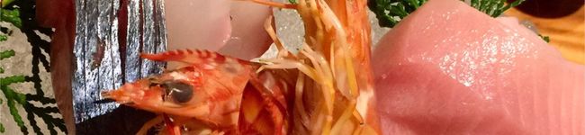 料理好きなオトン's header image
