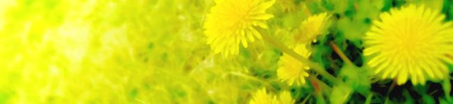 細雪里's header image