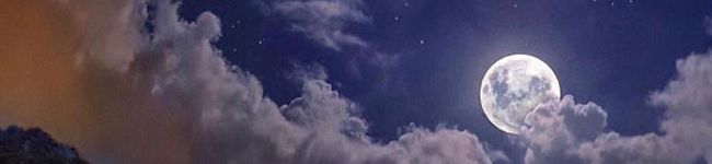 ♬春夏秋冬♬'s header image