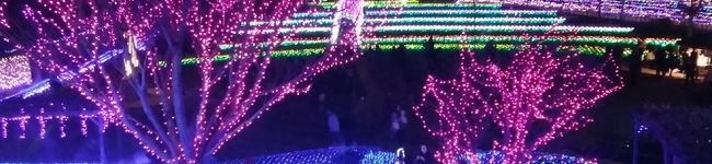 KOHAKママ's header image