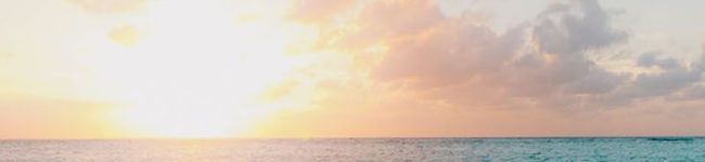 よもぎ食堂☆'s header image