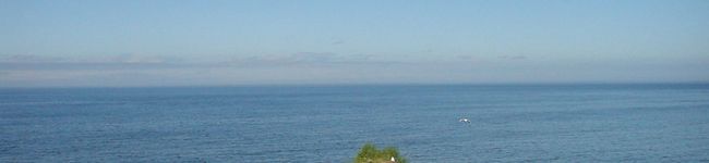 ｄｏｒａｒｉｎｇｏ's header image