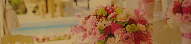 chunchuko3's header image