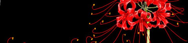月闇眞's header image