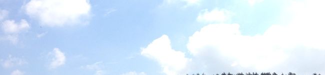 しのぶぅぅ's header image