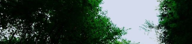 かえる店長's header image