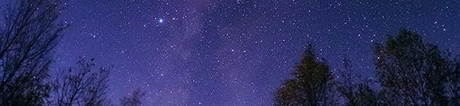 ナギにゃん's header image