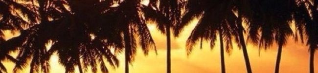 魔神ぶぅたろ's header image