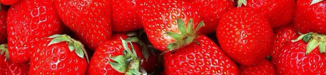 ❥ジャムおじさん's header image
